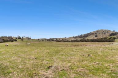 Mixed Farming Auction - VIC - Tooborac - 3522 - By Auction: Saturday 8th November, 2025 at 10am Onsite  (Image 2)