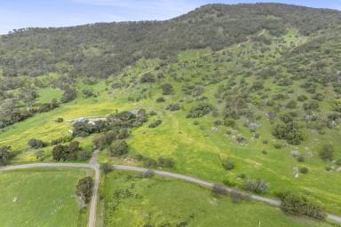 Other (Rural) For Sale - VIC - Boho - 3669 - Contemporary Country Retreat at the Foothills of the Strathbogie Ranges.  (Image 2)