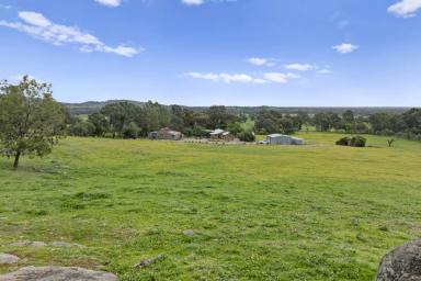 Other (Rural) For Sale - VIC - Boho - 3669 - Contemporary Country Retreat Offering Space, Privacy and Nature  (Image 2)