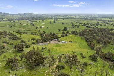 Other (Rural) For Sale - VIC - Boho - 3669 - Contemporary Country Retreat Offering Space, Privacy and Nature  (Image 2)