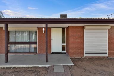 House Sold - VIC - Mildura - 3500 - Renovated 3 bedroom home! (Image 2)