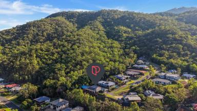 House For Sale - QLD - Gordonvale - 4865 - FAR NORTH LIVING AT IT'S FINEST  (Image 2)