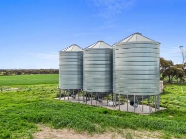 Mixed Farming For Sale - SA - Coonalpyn - 5265 - 2  Quality Continuous Crop Properties  (Image 2)