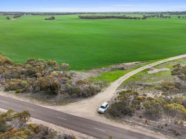 Mixed Farming For Sale - SA - Coonalpyn - 5265 - 2  Quality Continuous Crop Properties  (Image 2)