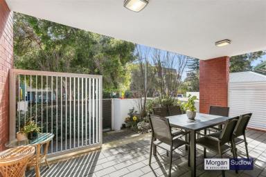 Apartment Sold - WA - Subiaco - 6008 - North-Facing Courtyard Garden Apartment- "Under Offer" properties wanted for disappointed cash buyers! (Image 2)