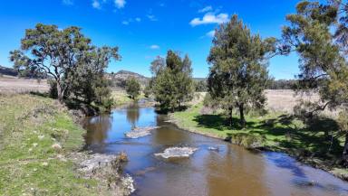 Livestock For Sale - NSW - Elsmore - 2360 - Grazing Opportunity with Macintyre River Frontage  (Image 2)