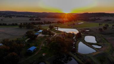 Livestock For Sale - NSW - Elsmore - 2360 - Grazing Opportunity with Macintyre River Frontage  (Image 2)