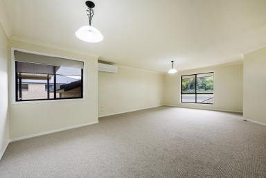 House Auction - NSW - Grafton - 2460 - MODERN LIVING WITH A SERIOUS SHED  (Image 2)