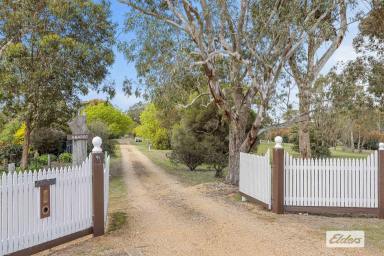 House For Sale - VIC - Ararat - 3377 - 'Amaroo' – Lifestyle, Character and Space on the Edge of Town  (Image 2)