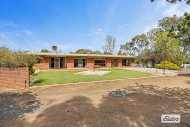 House For Sale - VIC - Ararat - 3377 - 'Amaroo' – Lifestyle, Character and Space on the Edge of Town  (Image 2)