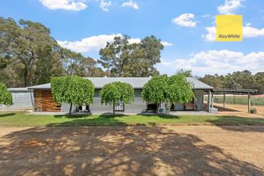 Other (Residential) For Sale - WA - Linfarne - 6258 - Lifestyle Retreat or Business Venture  (Image 2)