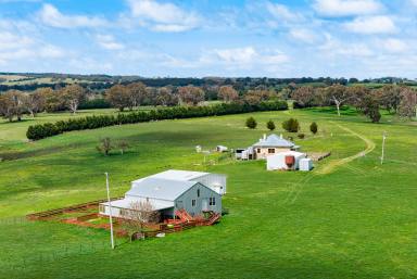 Mixed Farming Auction - NSW - Binda - 2583 - "Welcome to Greenrock"  (Image 2)