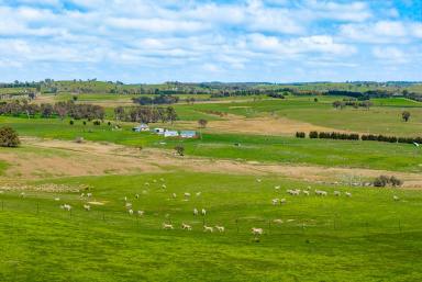 Mixed Farming Auction - NSW - Binda - 2583 - "Welcome to Greenrock"  (Image 2)