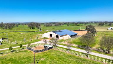 Lifestyle For Sale - NSW - Tamworth - 2340 - FIRST CLASS EQUINE, LIFESTYLE AND PRODUCTION PROPERTY  (Image 2)