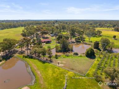 House For Sale - VIC - Peechelba - 3678 - Peechelba Paradise  (Image 2)