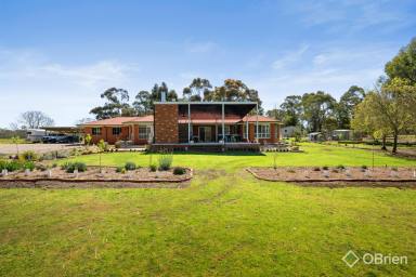 House For Sale - VIC - Peechelba - 3678 - Peechelba Paradise  (Image 2)