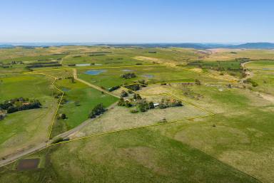 Cropping Auction - NSW - Goulburn - 2580 - A Rare Rural Opportunity  (Image 2)