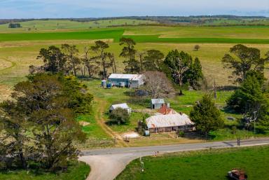 Cropping Auction - NSW - Goulburn - 2580 - A Rare Rural Opportunity  (Image 2)
