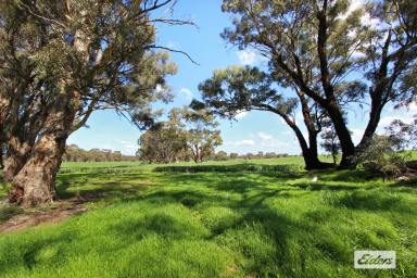 Acreage/Semi-rural For Sale - VIC - Shelbourne - 3515 - Brand New Steel Frame Home On 151 Fertile Acres  (Image 2)