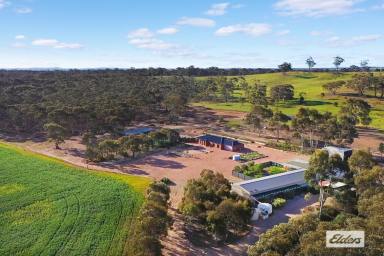 Acreage/Semi-rural For Sale - VIC - Shelbourne - 3515 - Brand New Steel Frame Home On 151 Fertile Acres  (Image 2)