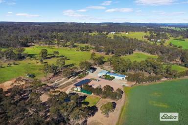Acreage/Semi-rural For Sale - VIC - Shelbourne - 3515 - Brand New Steel Frame Home On 151 Fertile Acres  (Image 2)