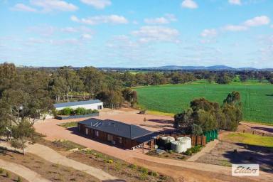 Acreage/Semi-rural For Sale - VIC - Shelbourne - 3515 - Brand New Steel Frame Home On 151 Fertile Acres  (Image 2)