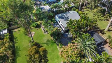 House For Sale - QLD - Macleay Island - 4184 - Private Oasis on HUGE Double Block - Two Titles with Soil Test - Walk to Beach  (Image 2)