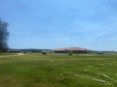 Mixed Farming For Sale - WA - Uduc - 6220 - Wonderful Harvey West  (Image 2)