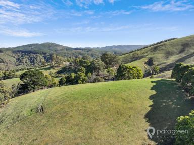 Residential Block For Sale - VIC - Mount Best - 3960 - 5 ACRES WITH AMAZING VIEWS  (Image 2)