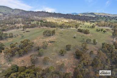 Other (Rural) For Sale - VIC - Crowlands - 3377 - Picturesque 255 Acre Lifestyle Property – Only 2.5 Hours from Melbourne  (Image 2)
