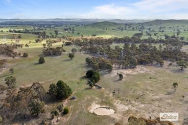 Other (Rural) For Sale - VIC - Crowlands - 3377 - Picturesque 255 Acre Lifestyle Property – Only 2.5 Hours from Melbourne  (Image 2)
