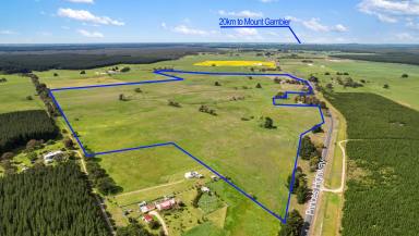 Mixed Farming For Sale - SA - Burrungule - 5291 - 'Hillview'  (Image 2)
