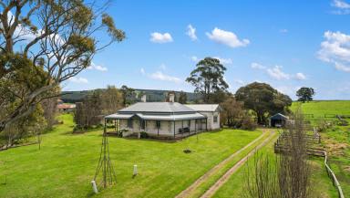 Mixed Farming For Sale - SA - Burrungule - 5291 - 'Hillview'  (Image 2)