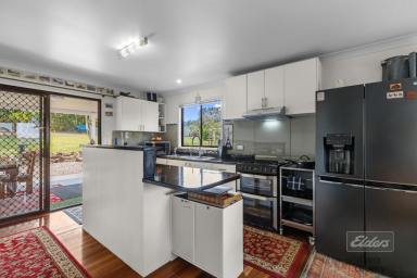 House For Sale - QLD - Glenwood - 4570 - YOUR ELEVATED ESCAPE IN GLENWOOD  (Image 2)