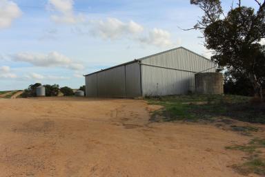 Mixed Farming For Sale - SA - Karoonda - 5307 - Unique Opportunity & Flexibility, Buy or Lease, Scale or in 3 Lots,  (Image 2)