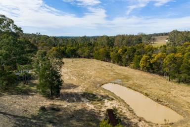 Lifestyle For Sale - NSW - Quialigo - 2580 - PRIVATE BLOCK WITH BUILDING ENTITLEMENT  (Image 2)