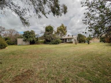 House For Sale - VIC - Boort - 3537 - 2 Bedroom Home in Scenic Boort  (Image 2)