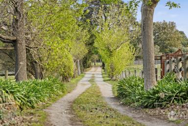 Acreage/Semi-rural For Sale - VIC - Pearcedale - 3912 - Town convenience meets country acreage!  (Image 2)
