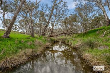 Residential Block For Sale - VIC - Ravenswood - 3453 - Exquisite Frontage to Buckeye & Bullock Creeks - 6.00Ha / 14.83Ac Approx.  (Image 2)