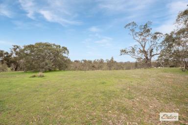 Residential Block For Sale - VIC - Ravenswood - 3453 - Exquisite Frontage to Buckeye & Bullock Creeks - 6.00Ha / 14.83Ac Approx.  (Image 2)