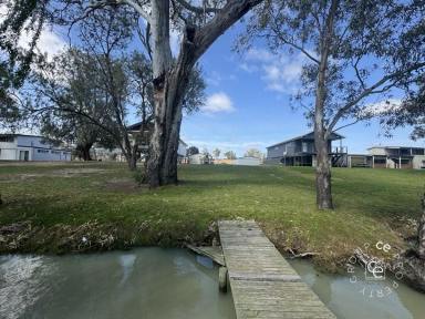 Residential Block For Sale - SA - Bowhill - 5238 - Is this to be your freehold river front block?  (Image 2)