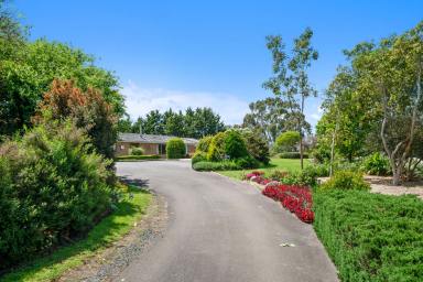 House For Sale - VIC - Tanjil South - 3825 - Magnificent Acreage Lifestyle  (Image 2)