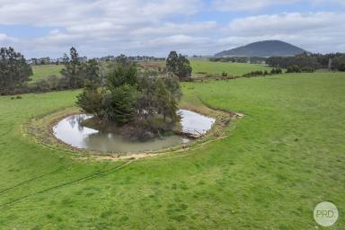 Residential Block For Sale - VIC - Dunnstown - 3352 - Rare 98-Acre Landholding at the Foothills of Mt Warrenheip - Minutes from Ballarat  (Image 2)