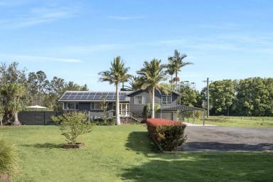 House For Sale - NSW - Berry - 2535 - Modern Comforts, Country Setting  (Image 2)