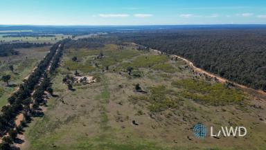 Lifestyle For Sale - NSW - Mendooran - 2842 - Quiet Rural Lifestyle on Large Holding  (Image 2)