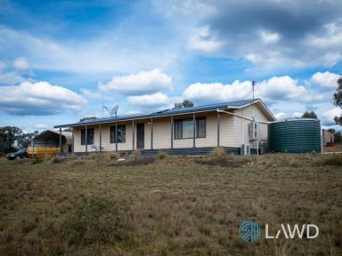 Lifestyle For Sale - NSW - Mendooran - 2842 - Quiet Rural Lifestyle on Large Holding  (Image 2)