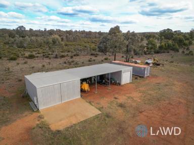 Lifestyle For Sale - NSW - Mendooran - 2842 - Quiet Rural Lifestyle on Large Holding  (Image 2)