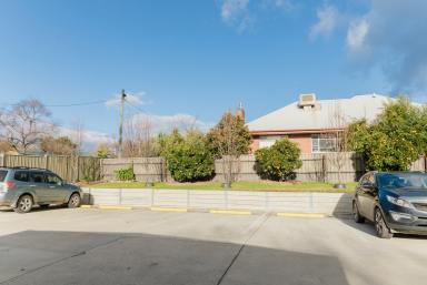 Office(s) For Lease - NSW - Tumut - 2720 - Exceptional Opportunity  (Image 2)