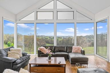 Lifestyle For Sale - WA - Thomson Brook - 6239 - A Rare Rural Retreat in the Heart of the Southwest  (Image 2)