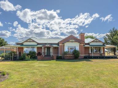 Lifestyle Sold - VIC - Goon Nure - 3875 - PANORAMIC LAKEFRONT LIFESTYLE ON 74 ACRES  (Image 2)
